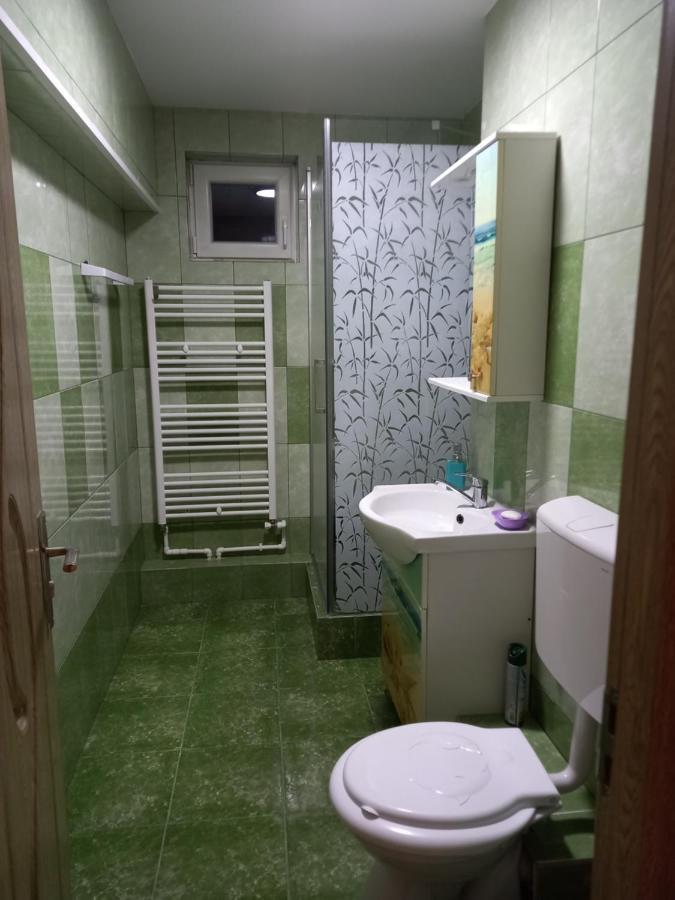 Apartament Bucovina Appartement Câmpulung Moldovenesc Buitenkant foto