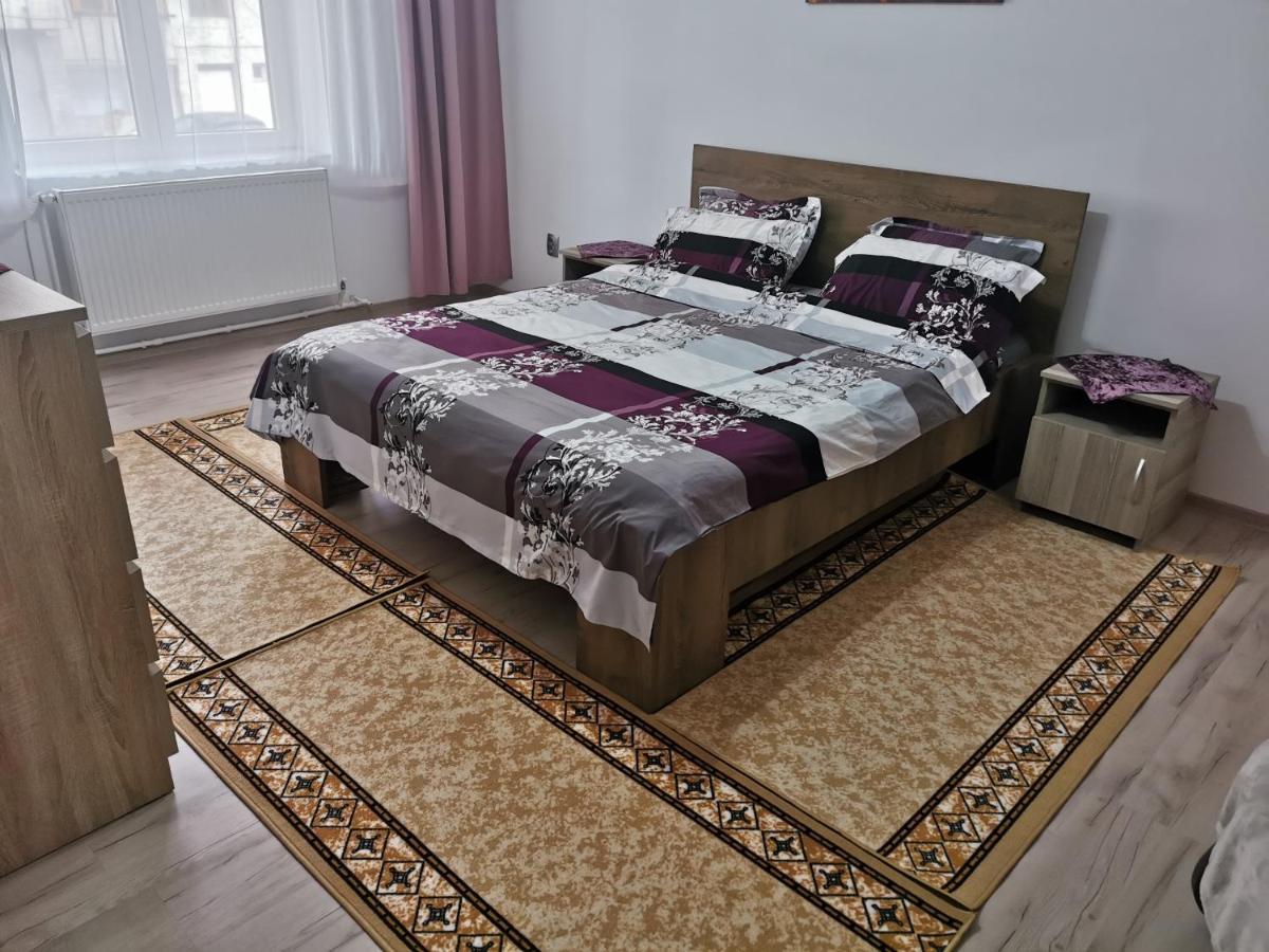 Apartament Bucovina Appartement Câmpulung Moldovenesc Buitenkant foto